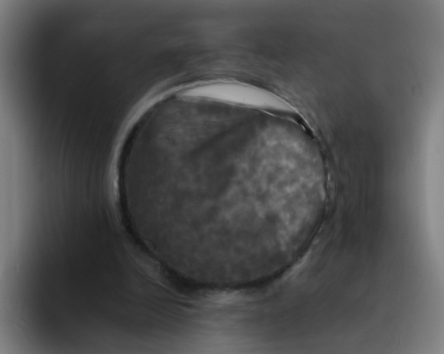 X0000094220246200711161855