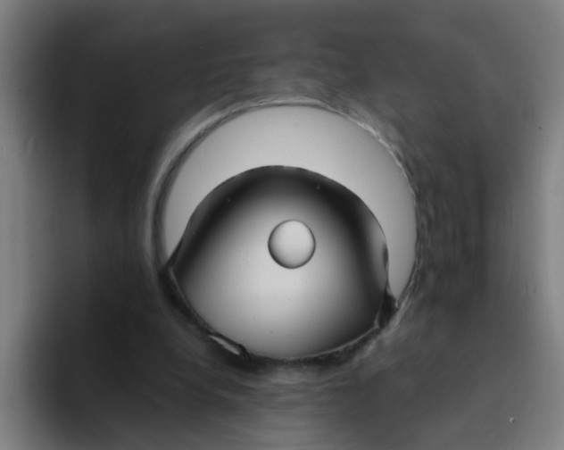 X0000094220248200711161855