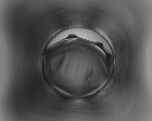 X0000094220249200711161855