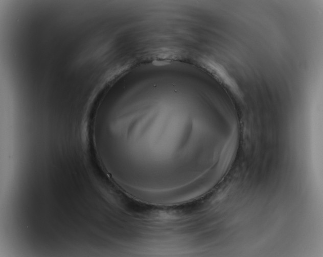 X0000094220250200711161855