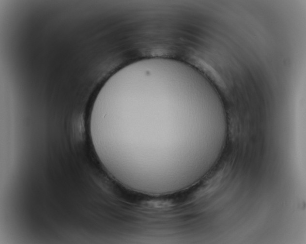 X0000094220251200711161855