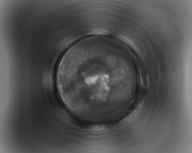 X0000094220252200711161855