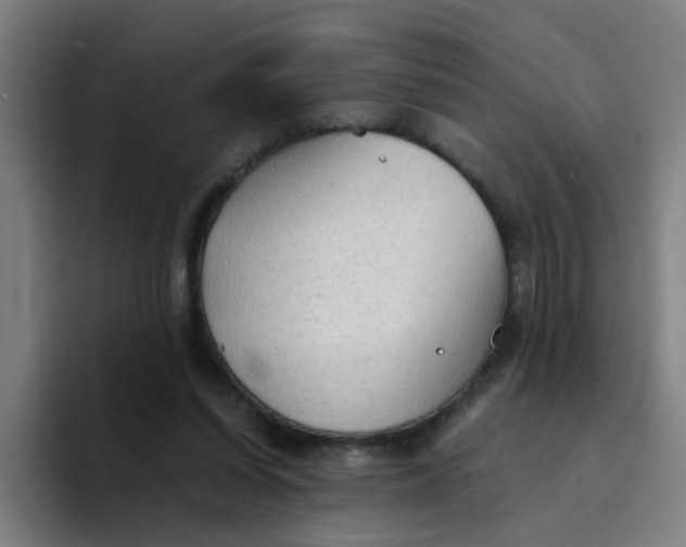 X0000094220254200711161855