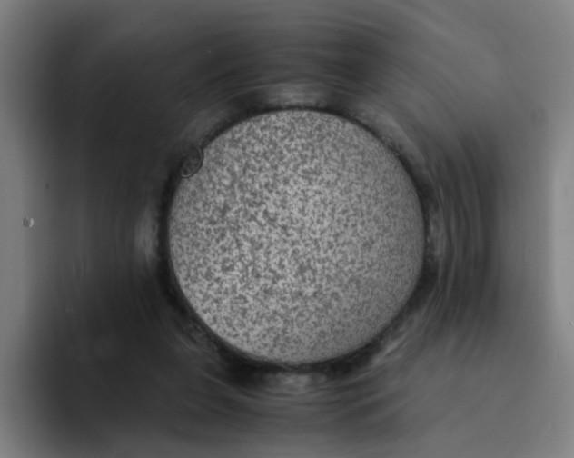 X0000094220255200711161855