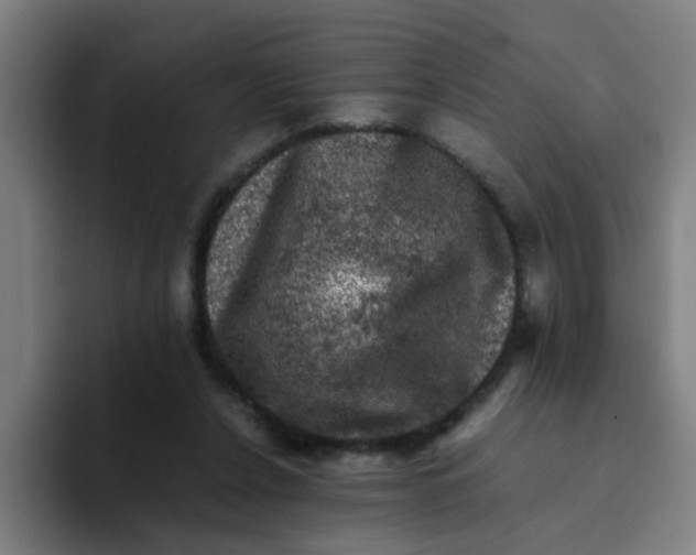 X0000094220256200711161855