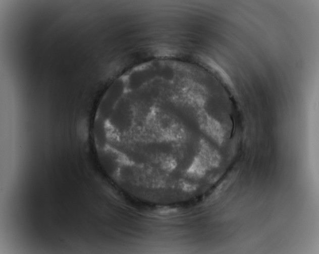 X0000094220257200711161855