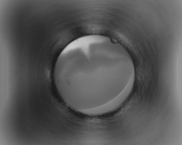 X0000094220258200711161855