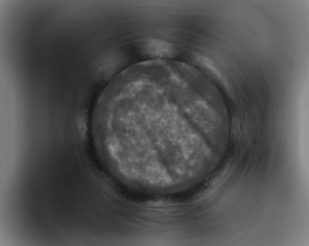 X0000094220259200711161855