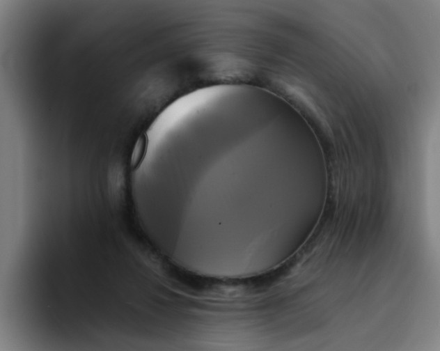 X0000094220260200711161855