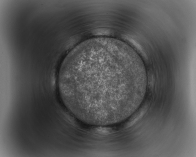 X0000094220261200711161855