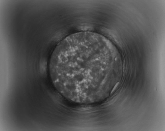 X0000094220263200711161855