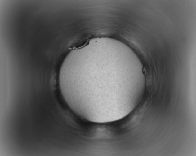 X0000094220264200711161855