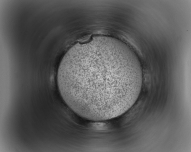 X0000094220265200711161855