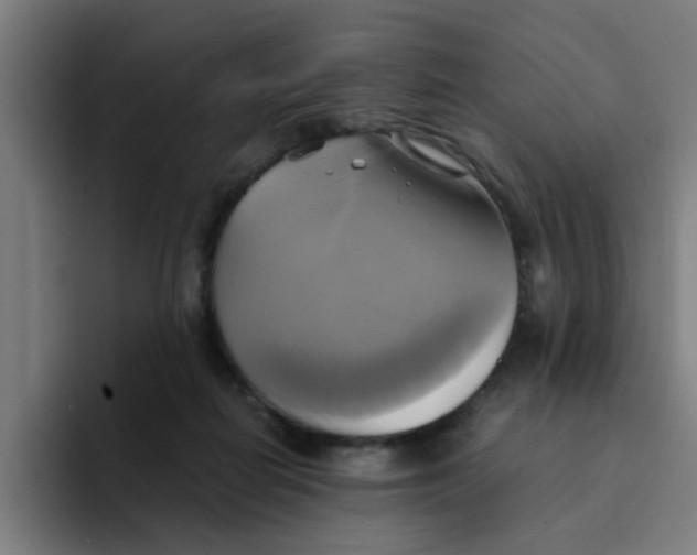 X0000094220266200711161855