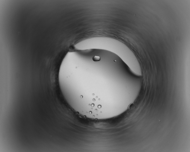 X0000094220268200711161855