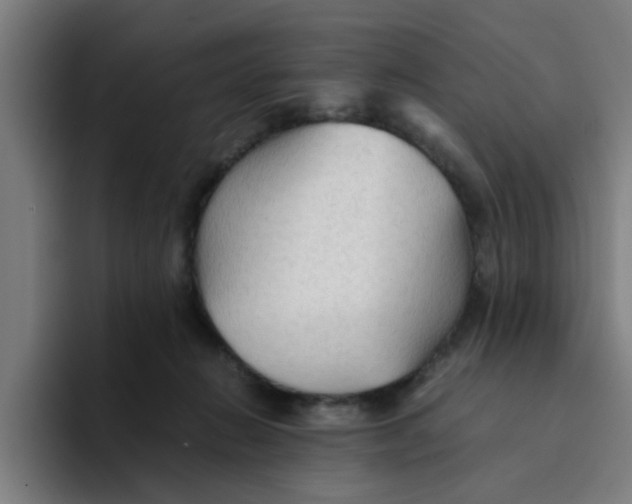 X0000094220270200711161855