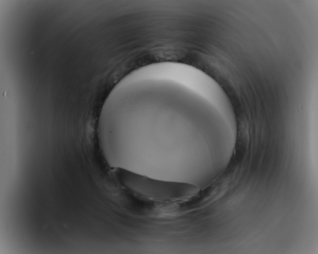 X0000094220271200711161855