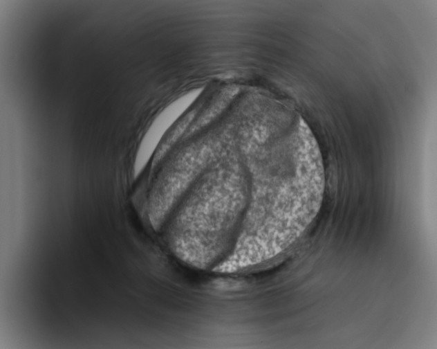 X0000094220272200711161855