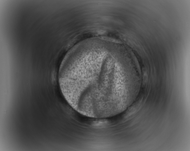 X0000094220274200711161855