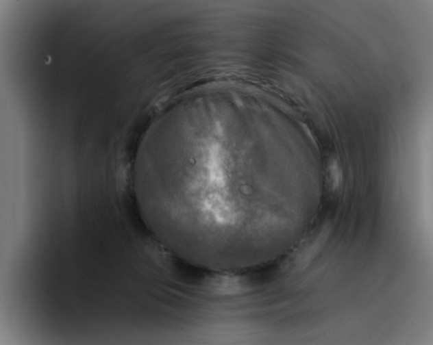 X0000094220276200711161855