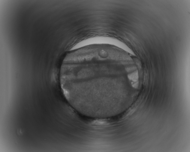 X0000094220280200711161855