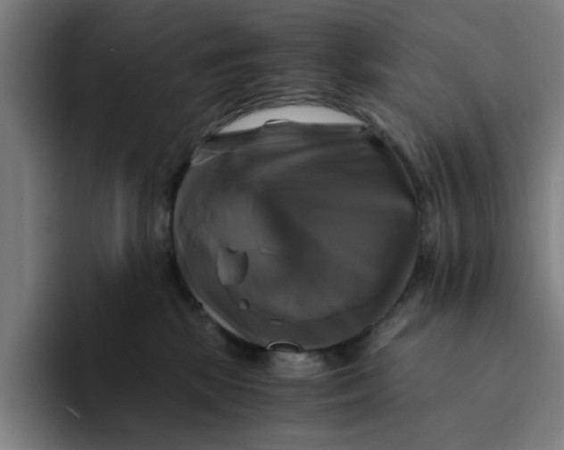 X0000094220281200711161855