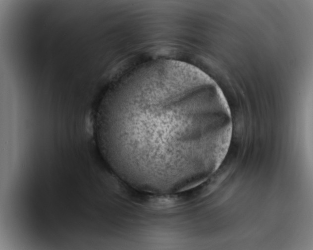 X0000094220282200711161855