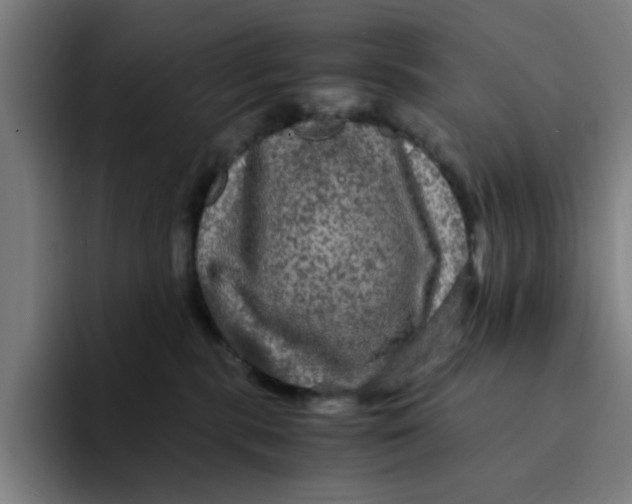 X0000094220283200711161855