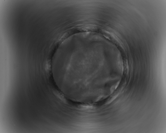 X0000094220284200711161855