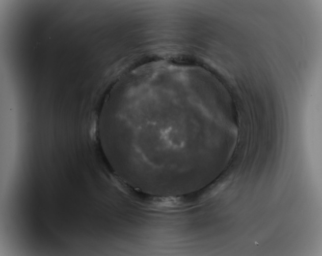 X0000094220288200711161855