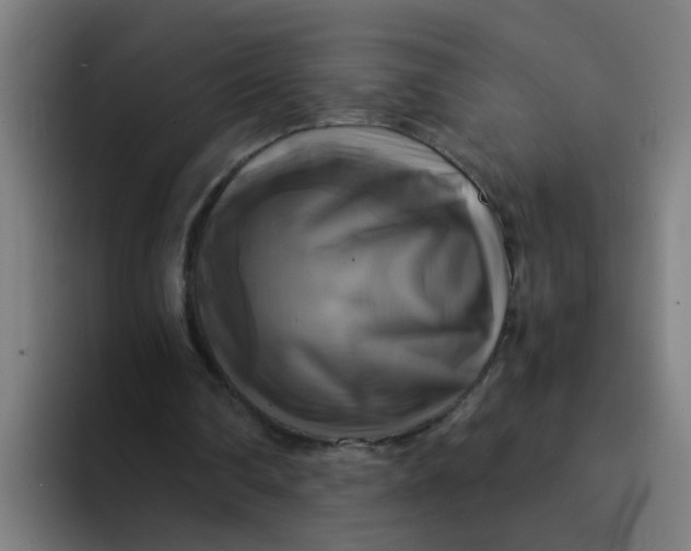 X0000094220290200711161854