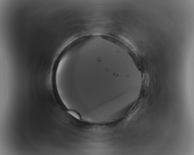 X0000094220292200711161854