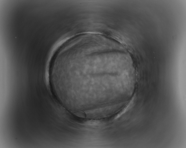 X0000094220294200711161854