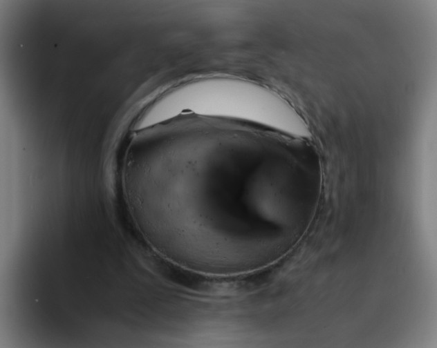 X0000094220295200711161854