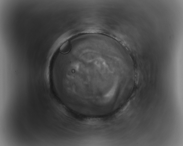 X0000094220296200711161854