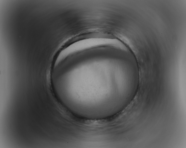 X0000094220297200711161854