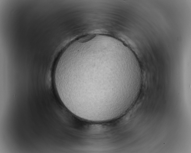 X0000094220298200711161854