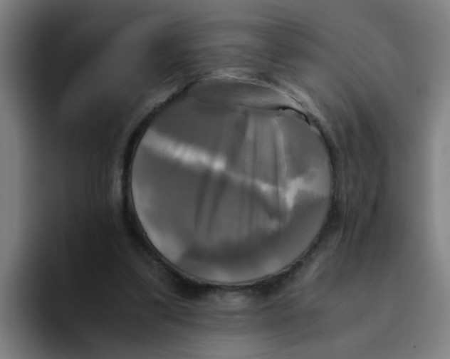 X0000094220299200711161854