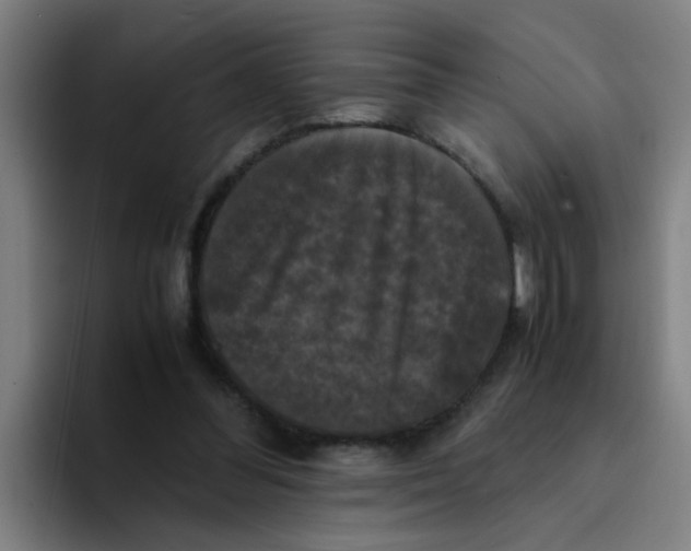 X0000094220300200711161854