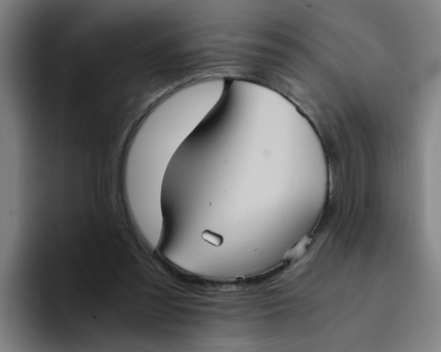 X0000094220301200711161854