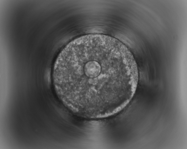 X0000094220302200711161854