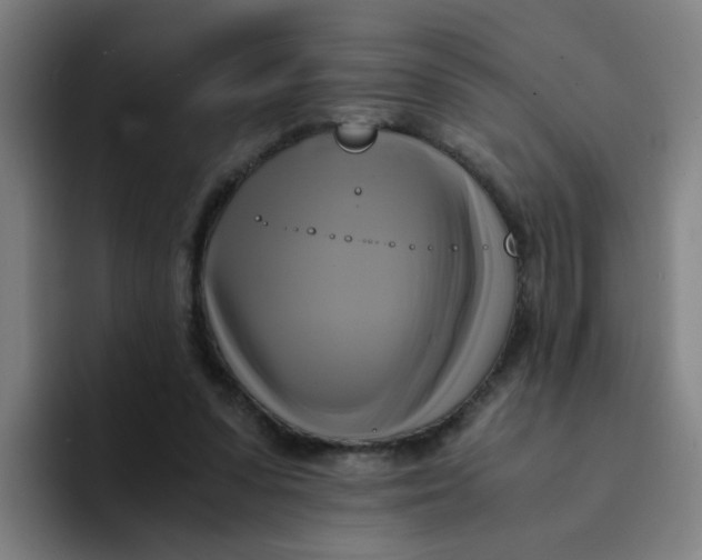 X0000094220303200711161854