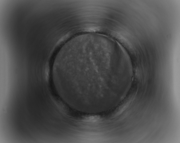 X0000094220304200711161854