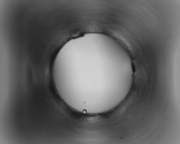 X0000094220306200711161854