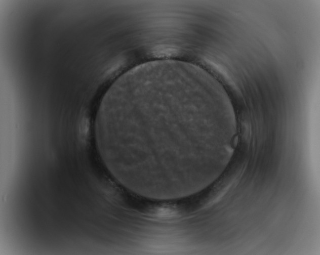 X0000094220308200711161854