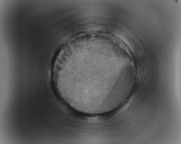 X0000094220309200711161854