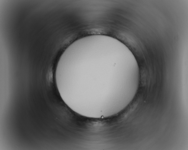 X0000094220310200711161854