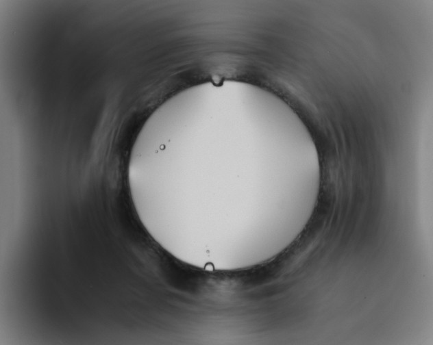 X0000094220311200711161854