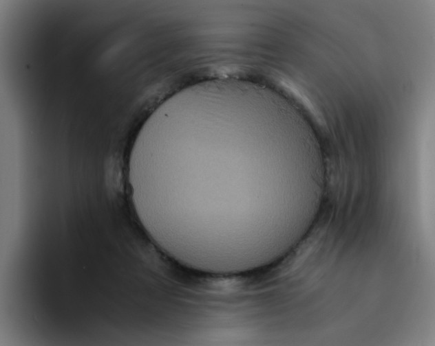 X0000094220313200711161854