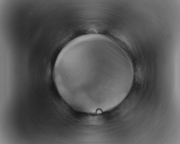 X0000094220314200711161854